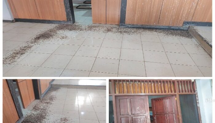 Hari Pertama Masuk Kerja Tersorot Kantor Sekretariat DPRD Bengkulu Utara Kotor