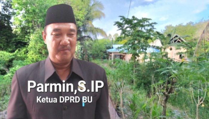 Aset Pemerintah Dijual Parmin Ketua DPRD Bengkulu Utara, Ada Dalam Catatan BPK