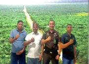 Ini Penjelasan Kejati Bengkulu Laporan Dugaan PT RAA Beroperasi Tampa HGU Dan IUP-B Dari Gubernur