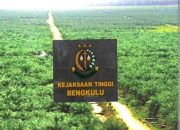 Kejati Bengkulu Berkoordinasi Ke Satgas PKH Dan Kejagung PT RAA Beroperasi Tampa HGU Dan IUP-B Dari Gubernur