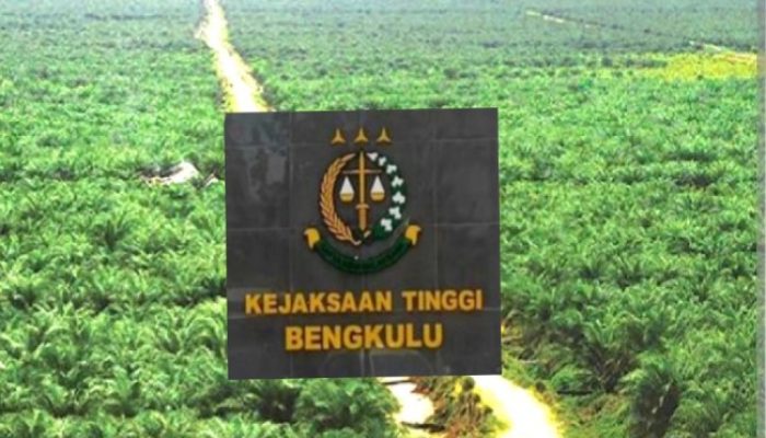 Kejati Bengkulu Berkoordinasi Ke Satgas PKH Dan Kejagung PT RAA Beroperasi Tampa HGU Dan IUP-B Dari Gubernur