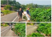 Akibat Longsor Akses Jalan Provinsi Bengkulu Rusak Parah, Perlu Perhatian Cepat Pemerintah