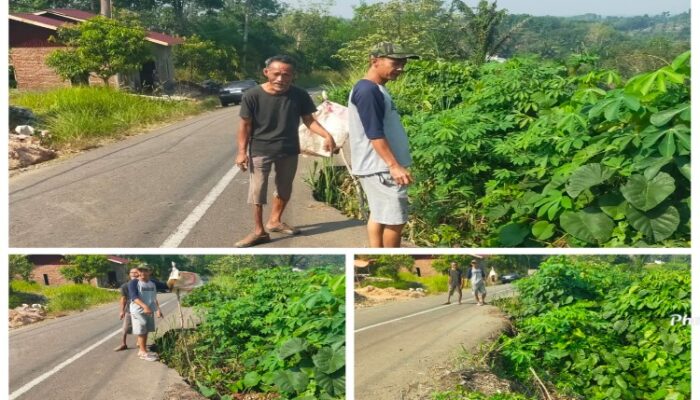Akibat Longsor Akses Jalan Provinsi Bengkulu Rusak Parah, Perlu Perhatian Cepat Pemerintah